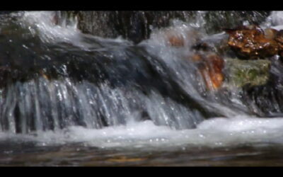 Cool, Clear North Carolina Mountain Stream