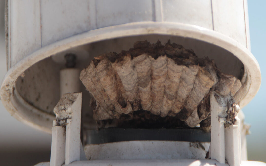 Mystery odor from your trailer bathroom?